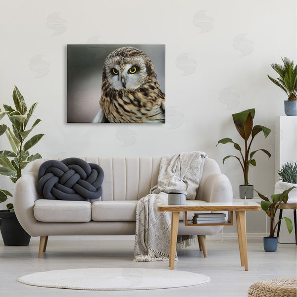 Stupell Industries Daniel Sproul | Fierce Hunting Owl Modern Bokeh Photography Effect Wall Art