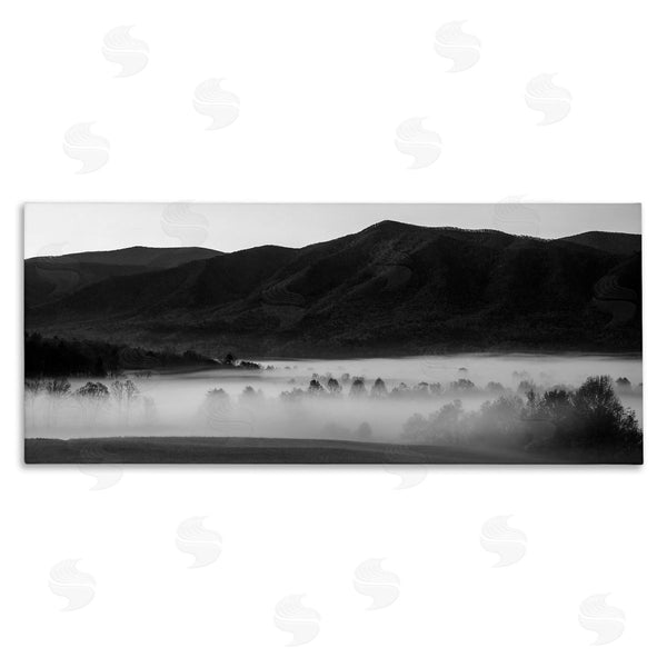 stupell industries Daniel Sproul | Foggy Woodland Nature Wall Art
