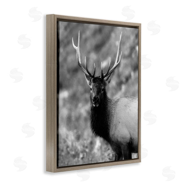 Stupell Industries Daniel Sproul | Grey Elk Photography