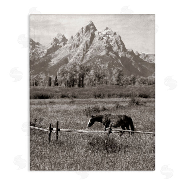 stupell industries Daniel Sproul | Horse & Mountain Scenery