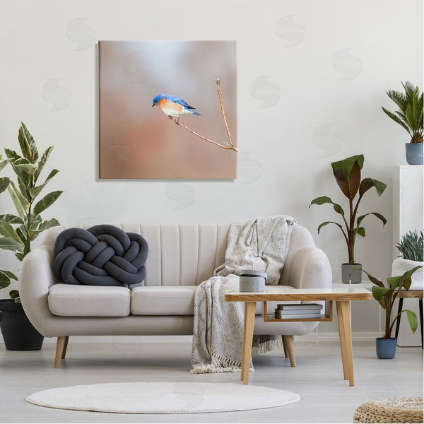 Stupell Industries Daniel Sproul | Lone Blue Jay Bird Tree Simple Design Wall Art