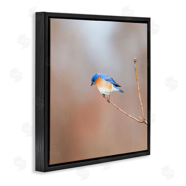 Stupell Industries Daniel Sproul | Lone Blue Jay Bird Tree Simple Design Wall Art