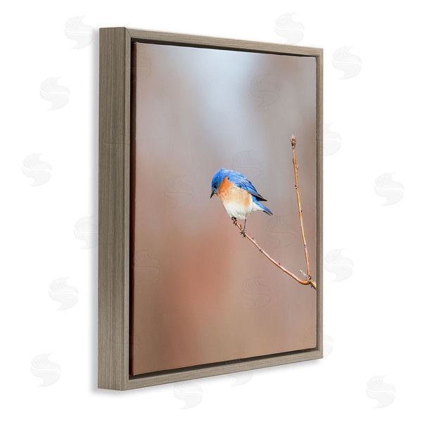 Stupell Industries Daniel Sproul | Lone Blue Jay Bird Tree Simple Design Wall Art