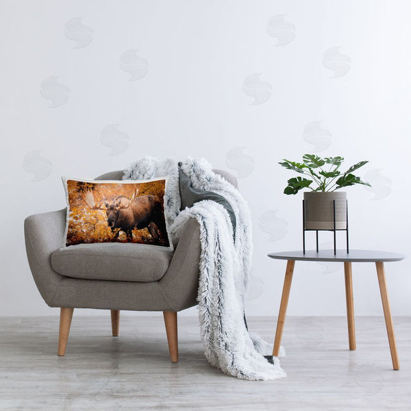 Stupell Industries Daniel Sproul | Moose Among Fall Foliage