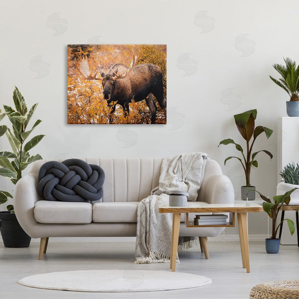 Stupell Industries Daniel Sproul | Moose In Autumn Foliage Wall Art
