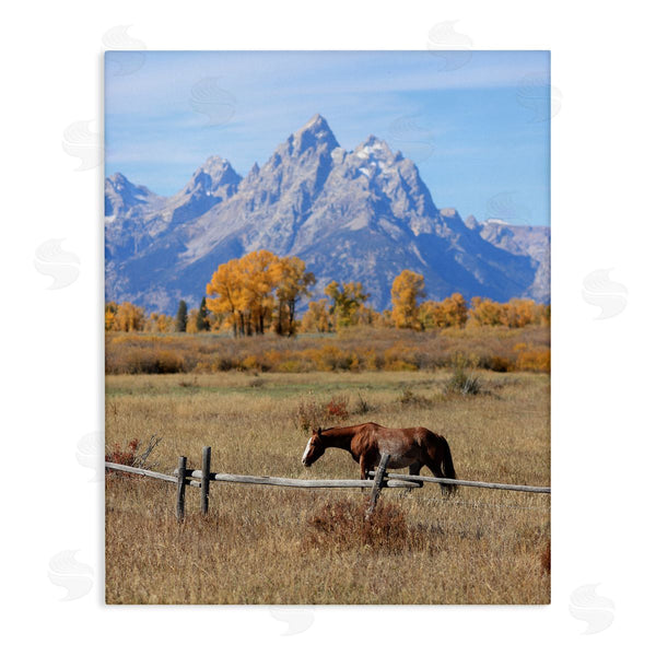 stupell industries Daniel Sproul | Mountain Nature Horse