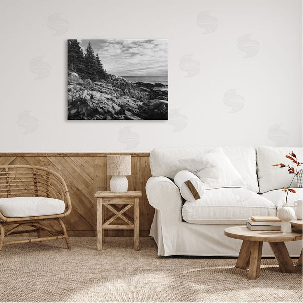Stupell Industries Daniel Sproul | Rocky Ocean Water Cloudy Coast Monochrome Nature Wall Art