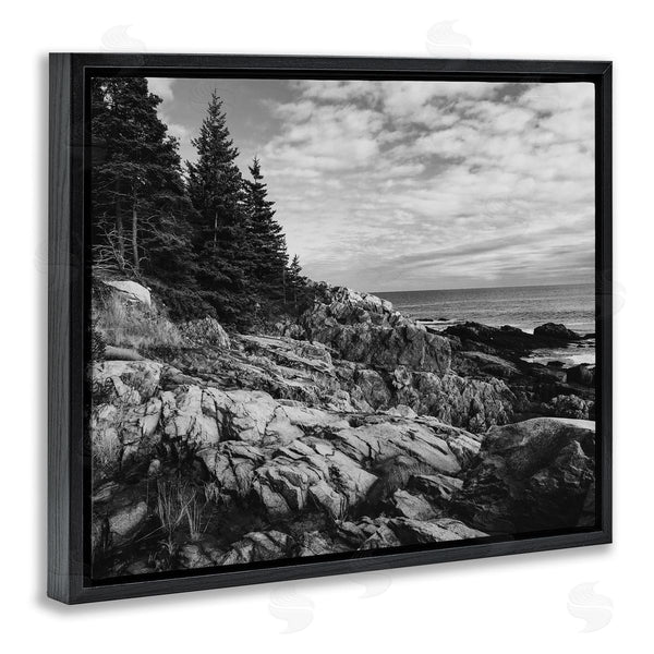 Stupell Industries Daniel Sproul | Rocky Ocean Water Cloudy Coast Monochrome Nature Wall Art