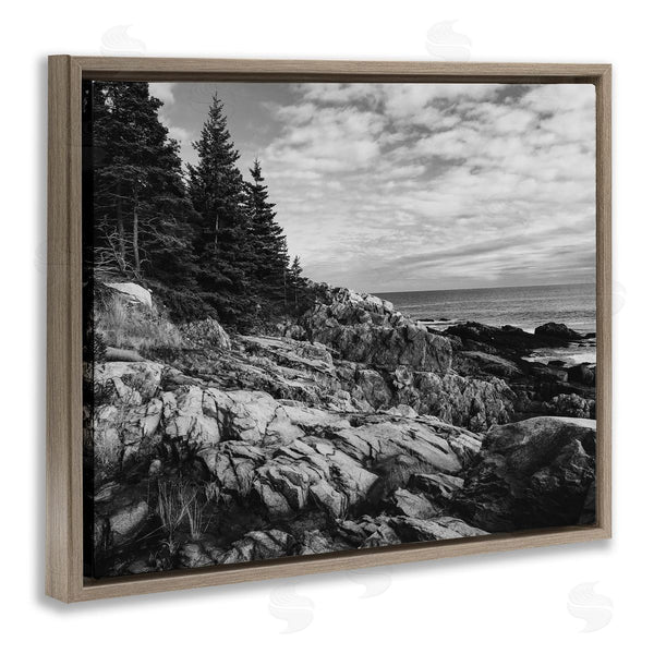 Stupell Industries Daniel Sproul | Rocky Ocean Water Cloudy Coast Monochrome Nature Wall Art