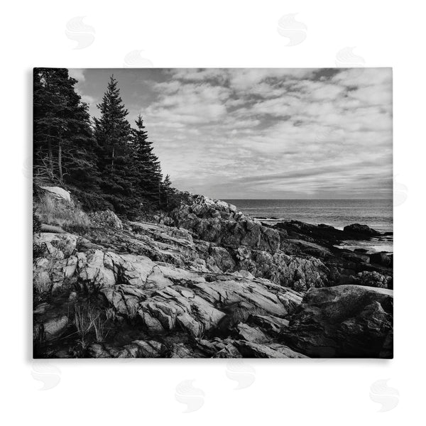 stupell industries Daniel Sproul | Rocky Ocean Water Cloudy Coast Monochrome Nature Wall Art