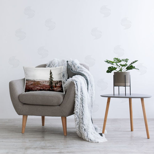 Stupell Industries Daniel Sproul | Snowy Mountain Valley