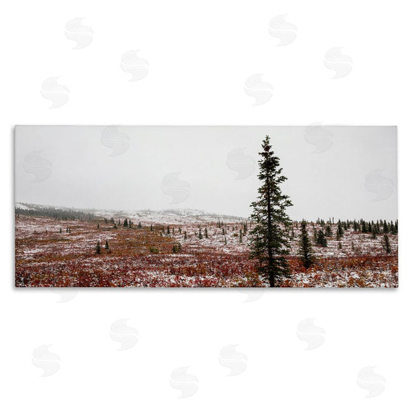 stupell industries Daniel Sproul | Tall Pine Landscape Wall Art