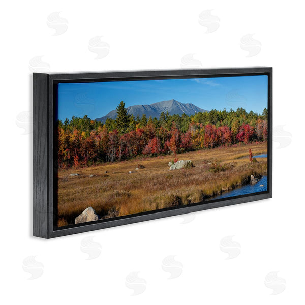 Stupell Industries Daniel Sproul | Woodland Stream Landscape