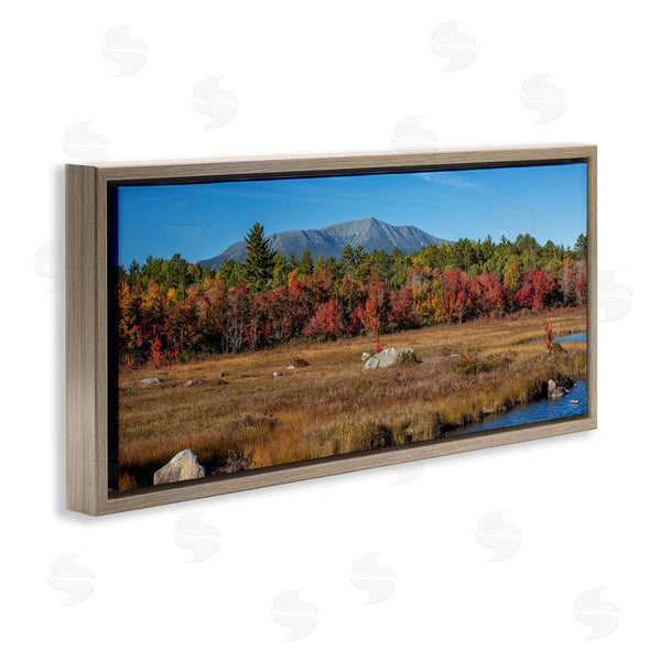 Stupell Industries Daniel Sproul | Woodland Stream Landscape