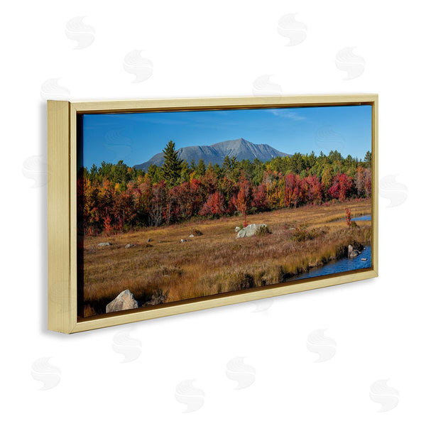 Stupell Industries Daniel Sproul | Woodland Stream Landscape