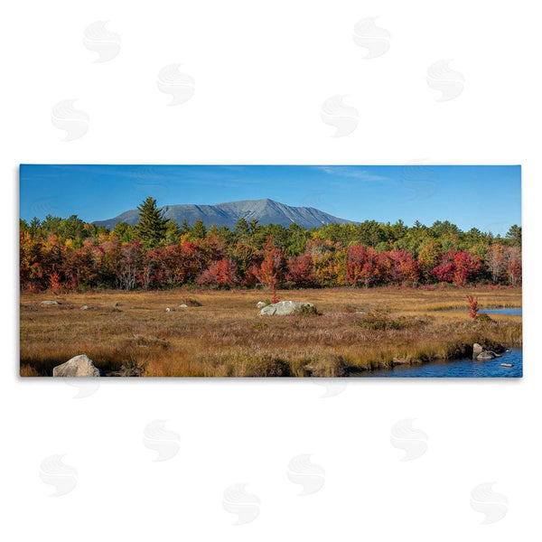 stupell industries Daniel Sproul | Woodland Stream Landscape