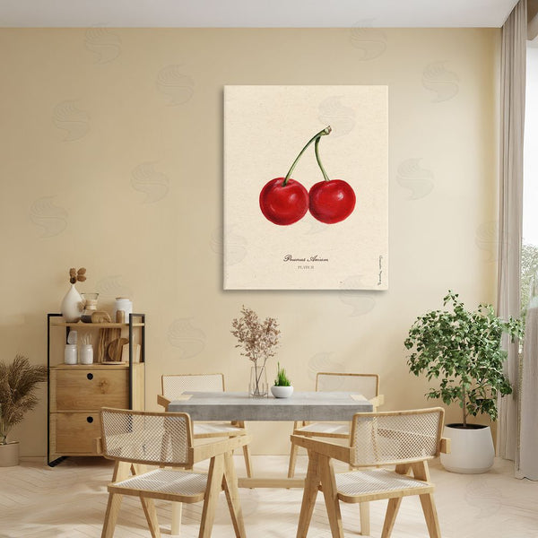 Stupell Industries Danielle Murray | Cherry Fruit Portrait