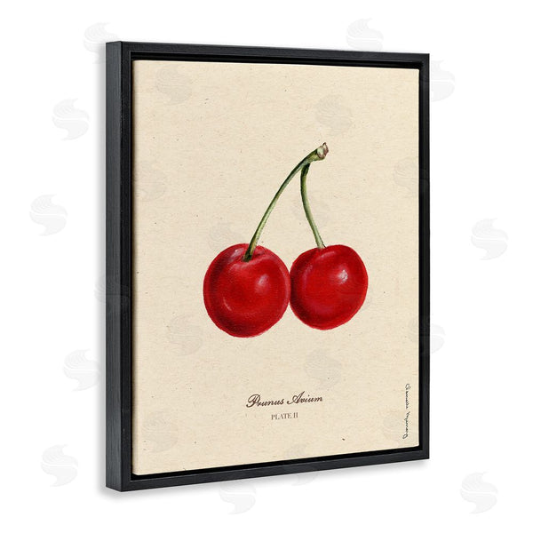 Stupell Industries Danielle Murray | Cherry Fruit Portrait