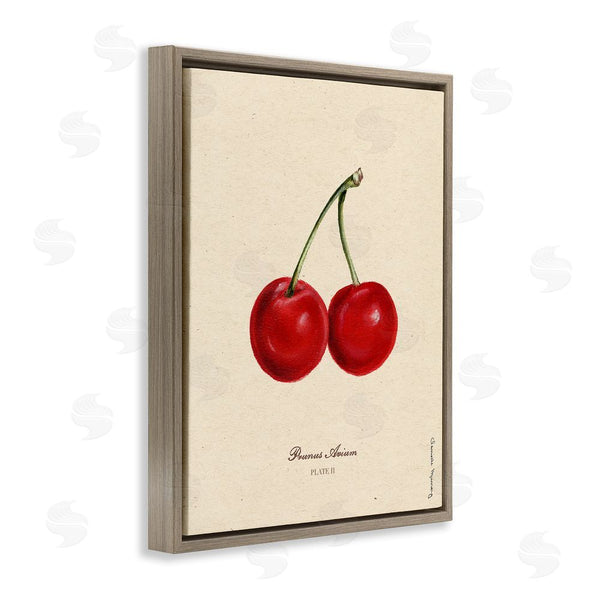 Stupell Industries Danielle Murray | Cherry Fruit Portrait
