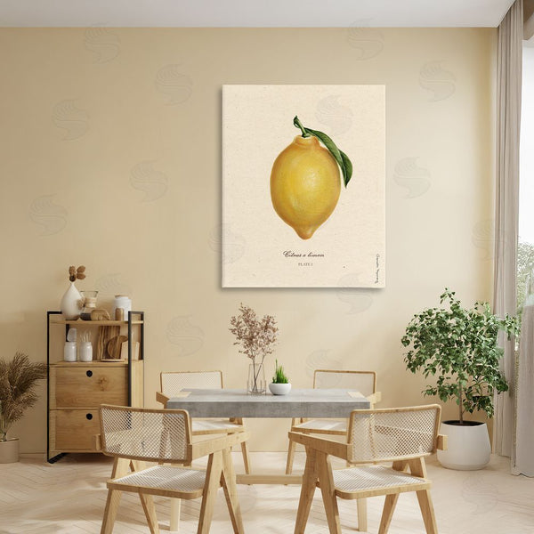 Stupell Industries Danielle Murray | Lemon Fruit Portrait