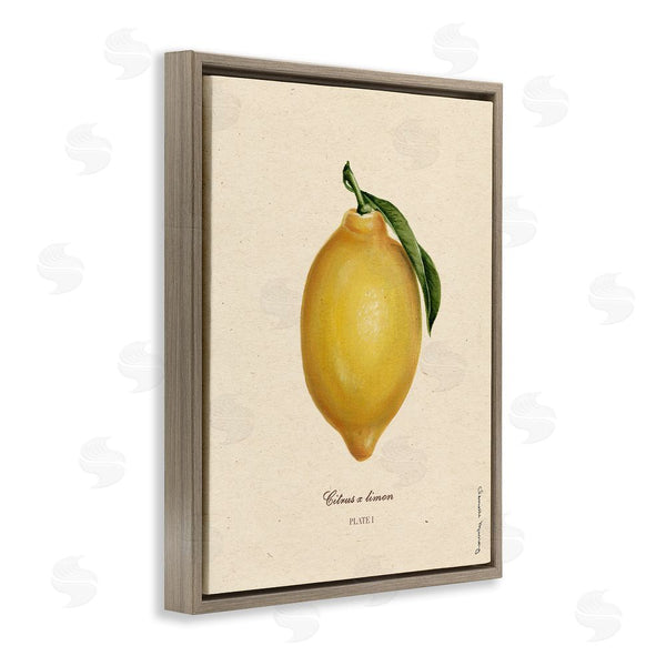 Stupell Industries Danielle Murray | Lemon Fruit Portrait
