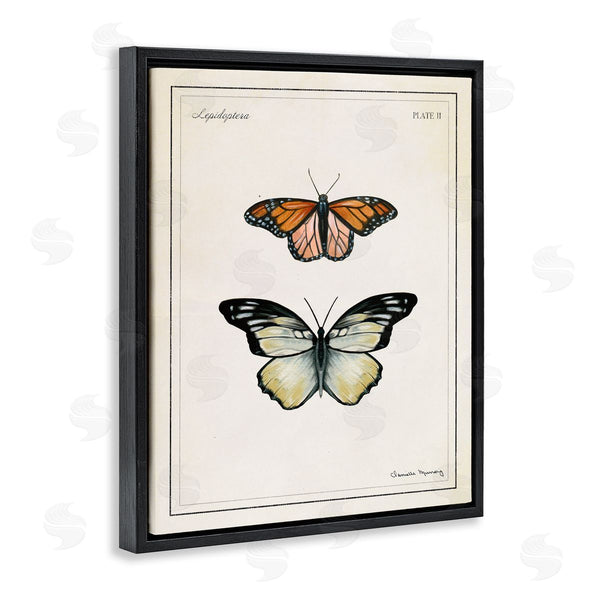 Stupell Industries Danielle Murray | Manor House Butterflies