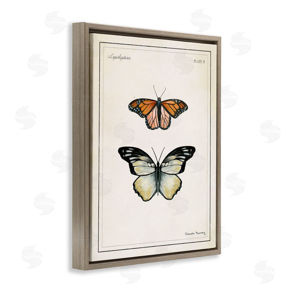 Stupell Industries Danielle Murray | Manor House Butterflies