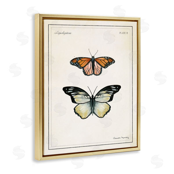 Stupell Industries Danielle Murray | Manor House Butterflies