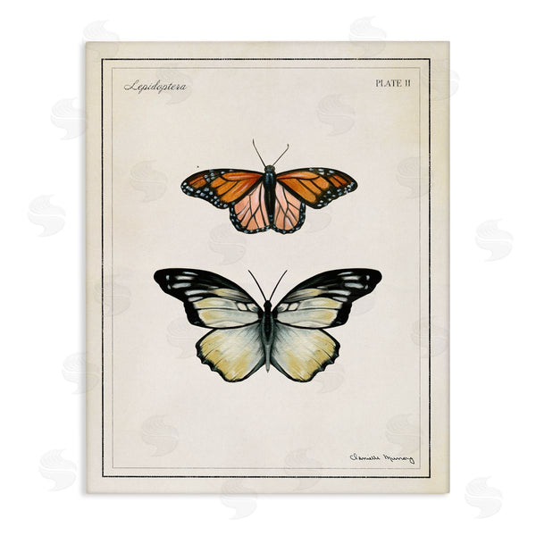 stupell industries Danielle Murray | Manor House Butterflies