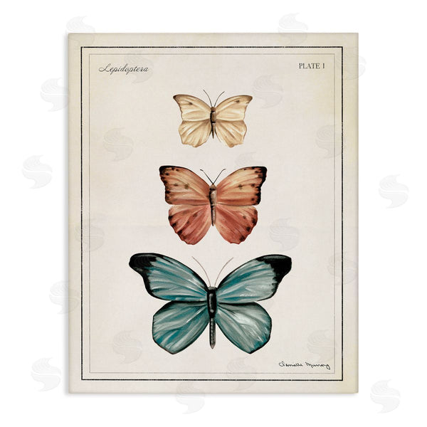 stupell industries Danielle Murray | Manor House Motif