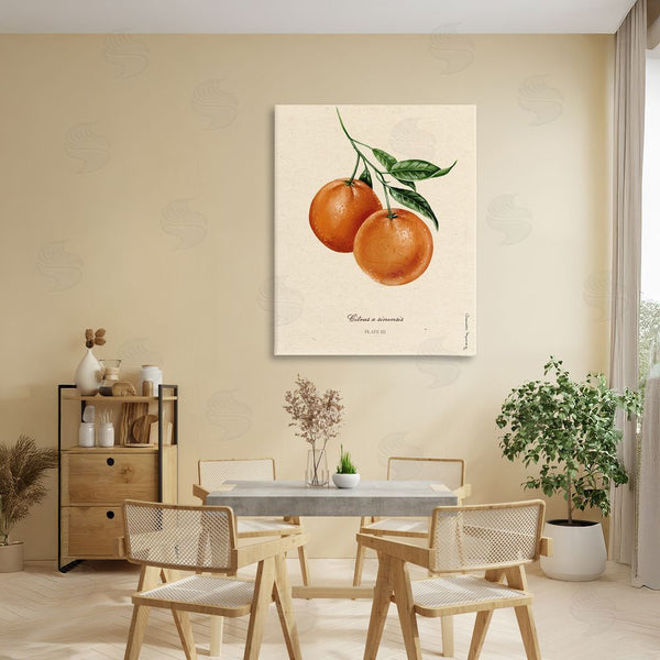 Stupell Industries Danielle Murray | Orange Fruit Portrait