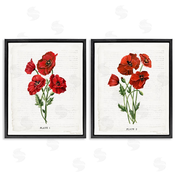 Stupell Industries Danielle Murray | Poppy Bunch Studies