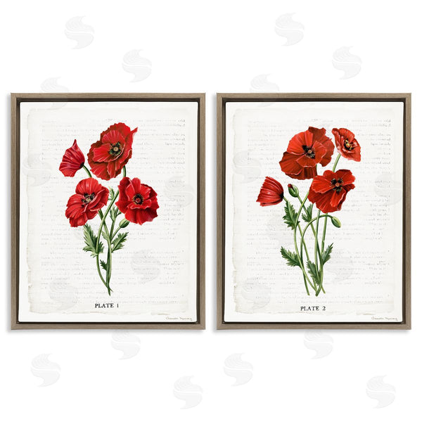 Stupell Industries Danielle Murray | Poppy Bunch Studies