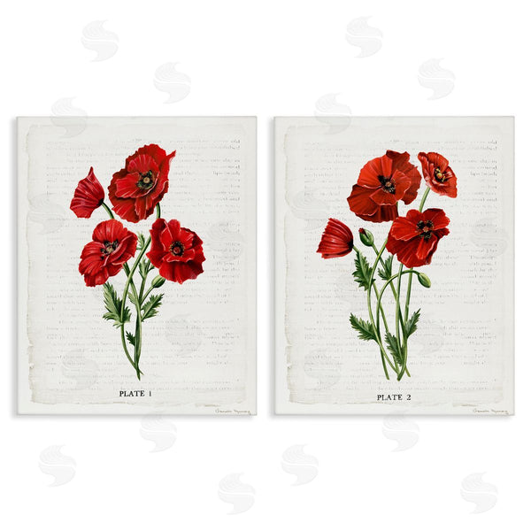 stupell industries Danielle Murray | Poppy Bunch Studies