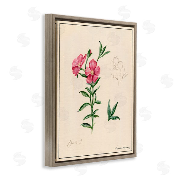 Stupell Industries Danielle Murray | Science Study Pink Flower