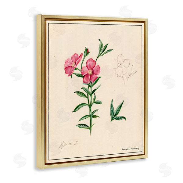 Stupell Industries Danielle Murray | Science Study Pink Flower