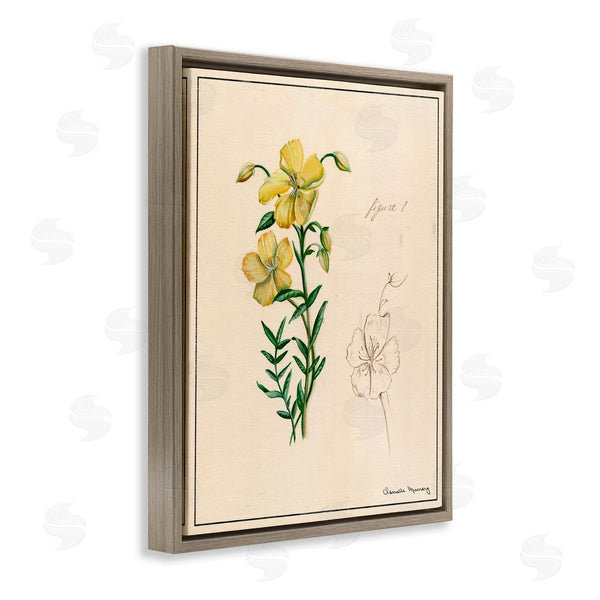 Stupell Industries Danielle Murray | Science Study Yellow Flower