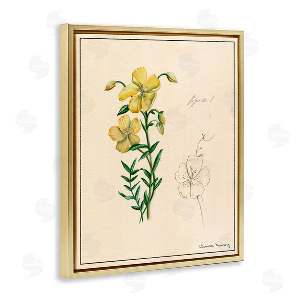 Stupell Industries Danielle Murray | Science Study Yellow Flower