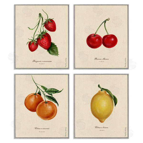 Stupell Industries Danielle Murray | Vintage Fruit Portraits Wall Art