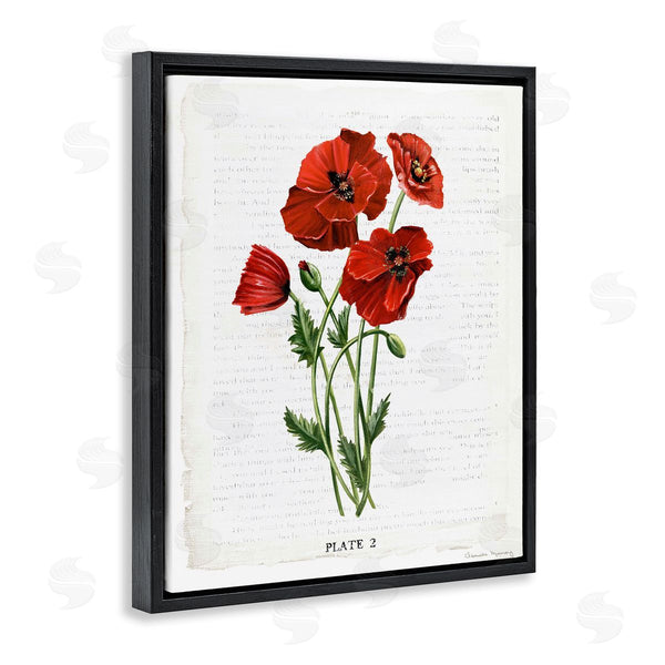 Stupell Industries Danielle Murray | Vintage Poppy Study