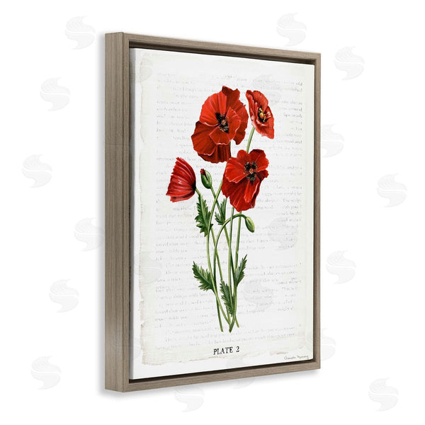 Stupell Industries Danielle Murray | Vintage Poppy Study