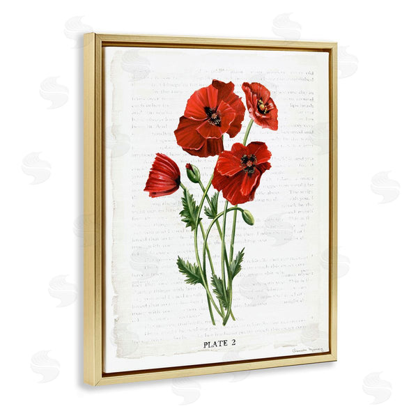 Stupell Industries Danielle Murray | Vintage Poppy Study