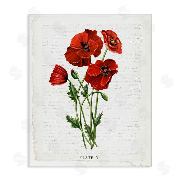 stupell industries Danielle Murray | Vintage Poppy Study