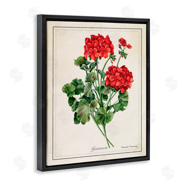 Stupell Industries Danielle Murray | Vivid Red Geranium Blossoms