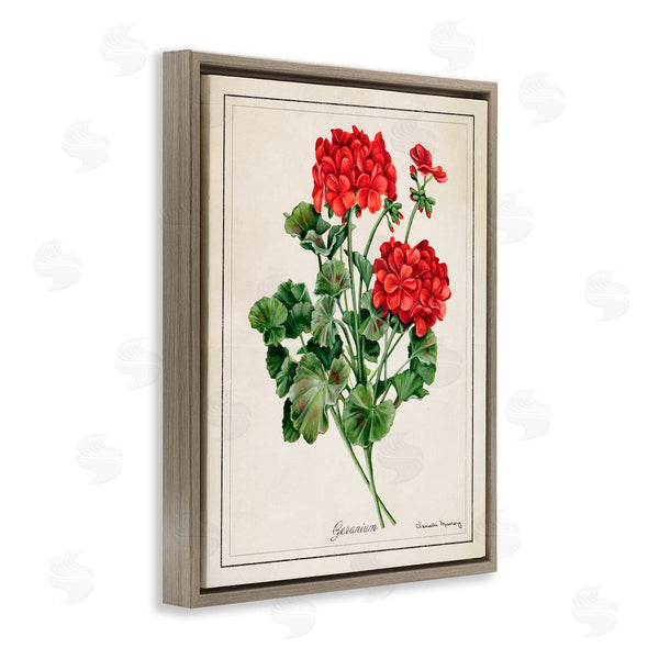Stupell Industries Danielle Murray | Vivid Red Geranium Blossoms