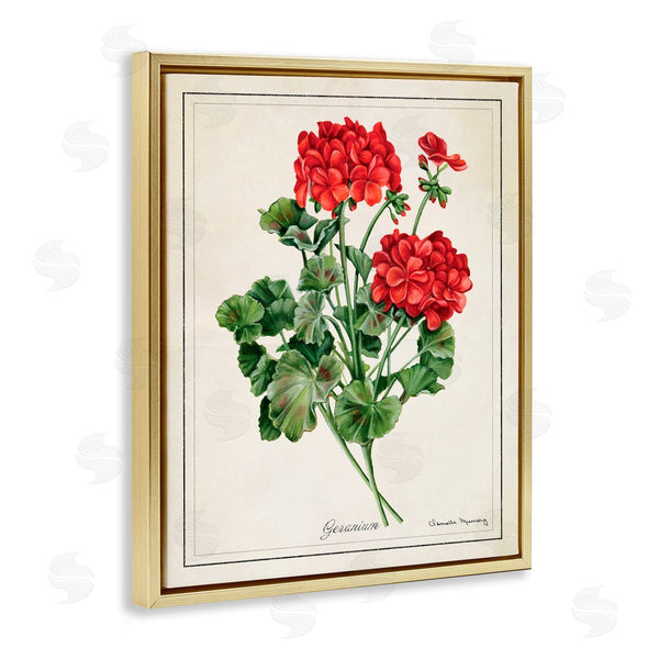 Stupell Industries Danielle Murray | Vivid Red Geranium Blossoms