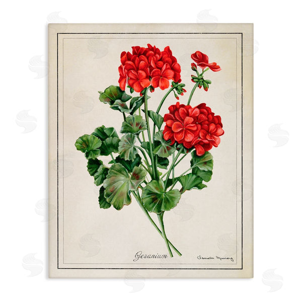 stupell industries Danielle Murray | Vivid Red Geranium Blossoms