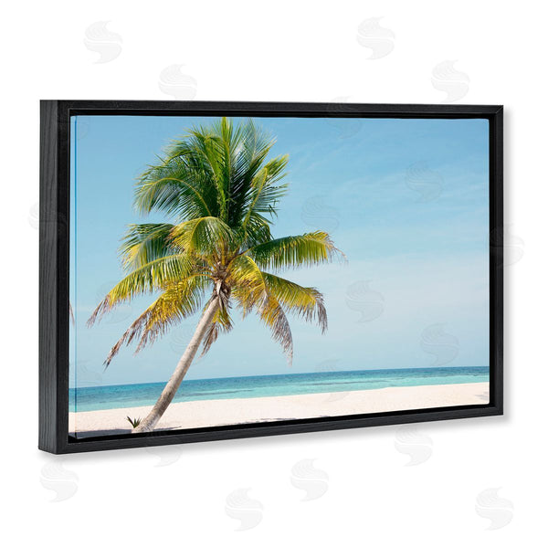 Stupell Industries Danita Delimont | Barrier Reef Island Palm