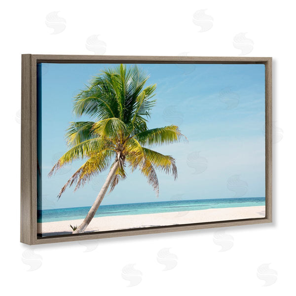 Stupell Industries Danita Delimont | Barrier Reef Island Palm