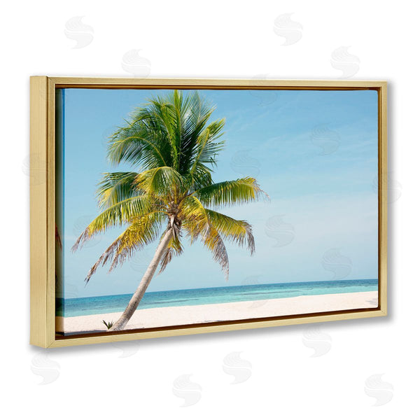 Stupell Industries Danita Delimont | Barrier Reef Island Palm
